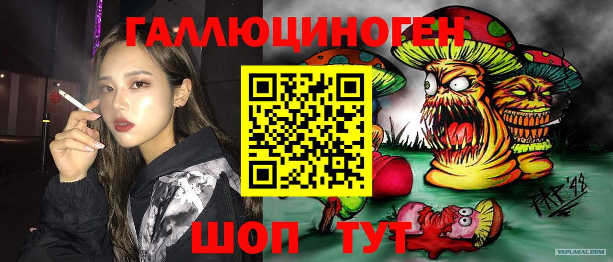 Псилоцибиновые грибы GOLDEN TEACHER Кисловодск